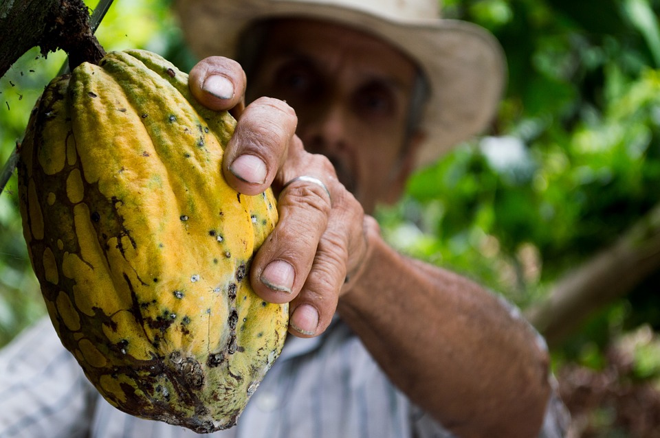 New Study: “The Dark Side of Chocolate”