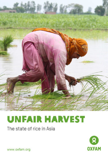 Unfair Harvest: The State of Rice in Asia