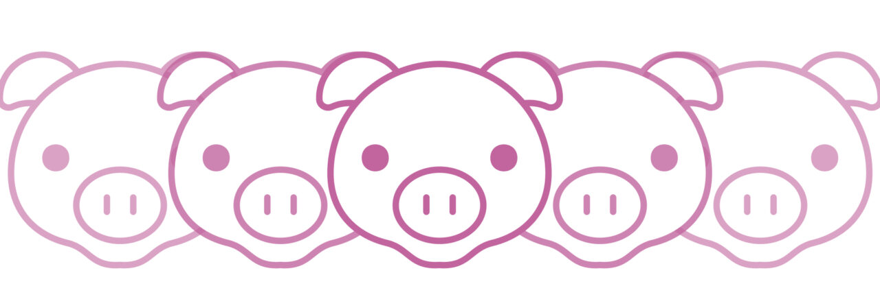 News-later #1 – Les travers de la filière porc