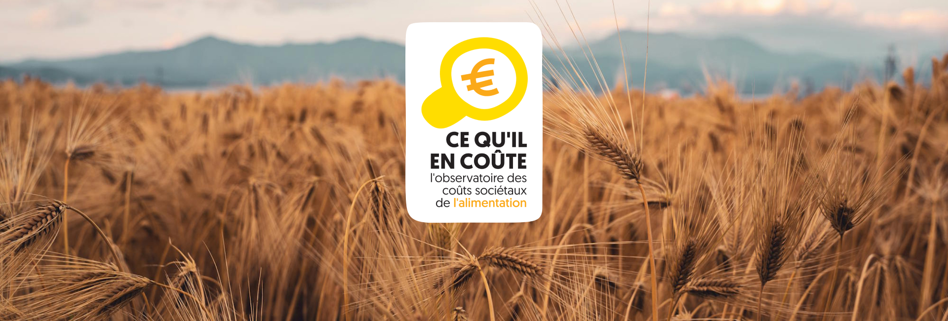 Ce qu&rsquo;il en coûte, un observatoire des coûts sociétaux de l&rsquo;alimentation